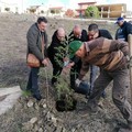 La Gepa Molfetta dona 30 alberi al Molise