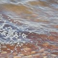 Schiuma e acqua putrida a Torre Calderina: la denuncia della Gepa