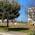 Iniziati i lavori alla nuova sede del "giovedì ". Lunedì incontro con le associazioni di categoria