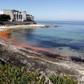 Mare rosso a Molfetta, un'alga fa cambiare il colore dell'Adriatico