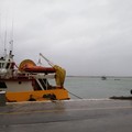 Maltempo, sul porto di Molfetta è corsa a mettere le barche in sicurezza