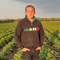 De Ruvo, Coldiretti Molfetta: «Il settore agricolo molfettese regge ancora. In crisi quello florovivaistico»