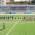 La Molfetta Calcio ospita il Picerno al  "Paolo Poli "