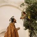 Gli effetti della Xylella sulla tradizione della  "frasca " di Gesù all'Orto: una conferenza a Molfetta