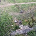 Lama Martina ancora una volta deturpata dai rifiuti