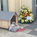 Fiori e messaggi d'affetto in stazione a Molfetta per ricordare Rufus