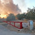 Incendio in un deposito edile: in fiamme pedane in legno e pannelli