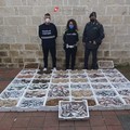 Controlli al mercato di piazza Minuto Pesce: pescati 2 evasori totali