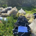 Ancora grande adesione alle iniziative di Plastic Free Molfetta