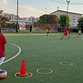 La Nox Molfetta giovanile di nuovo in campo lunedì 18 luglio