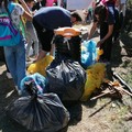 Clean up a Lama Martina per la Giornata degli animali