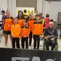 Week-end ricco di successi per il Circolo Tennistavolo Molfetta