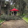 Cede un albero all'ex convento del Pulo: interrotte le visite FAI