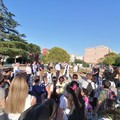 Il  "Parco dei Nonni " apre i battenti: inaugurato il nuovo volto dell'ex area verde di Levante