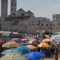 Ferragosto a Molfetta tra sport, cultura e tradizioni