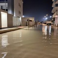 Pioggia intensa su Molfetta: via Saverio Nisio allagata