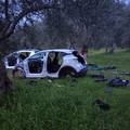 Due auto rubate e cannibalizzate: recuperate dalle Guardie Ambientali