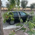 Forte vento a Molfetta: si registrano disagi in città