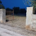 Trovato il corpo di un uomo di Molfetta nelle campagne di Giovinazzo