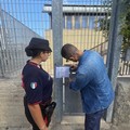 PalaPanunzio, le intimidazioni al dipendente: «Non mi faccio problemi a menare a te»