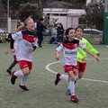 Nox Molfetta, l'under15 ancora vittoriosa e prima nella fase a gironi di Futsal on the Road