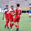 Promozione, oggi trasferte per Borgorosso e Molfetta Sportiva