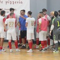 Serie C1, il Real Molfetta a caccia di conferme contro il CUS Foggia