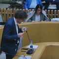 D'Amato (PD) in Consiglio: «La maggioranza ha paura del confronto»