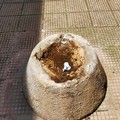 Torna il vandalismo a Molfetta: asportate le fioriere in pietra su via Achille Salvucci