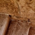 Siringa sulla scalinata di via Terlizzi: nuovo allarme per la sicurezza