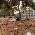 Stato di degrado al Parco di Ponente: la segnalazione