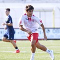 Dalla Serie A di San Marino al Borgorosso Molfetta: ufficiale l'arrivo di Andrea Coratella