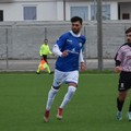 Il Borgorosso Molfetta rinforza l'attacco con Mauro Sciancalepore