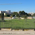 Lavori al Parco Tombino di Molfetta: presto nuova vita per l’area mai aperta al pubblico?