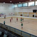 MasterFood Macula Nox, domenica campionato al via: subito il favorito Atletico Modugno