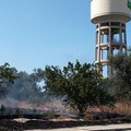 Tardiva l'ordinanza incendi del Comune