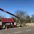 Strada Molfetta-Terlizzi, arrivano i segnalatori luminosi di velocità