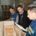 Sequestrate 80.000 uova in Puglia, Molfetta centrale per l'imballaggio