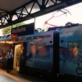In transito anche da Molfetta i treni per il Red Bull Cliff Diving