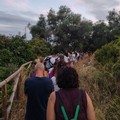  "Musica in natura ": grande partecipazione al primo incontro del progetto  "Ama la lama "