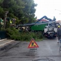 Messa in sicurezza Piazza de Gasperi a Molfetta