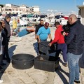 A mezzogiorno la liberazione in mare di tre esemplari di Caretta caretta