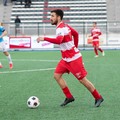 La Molfetta Calcio torna al  "Poli " per affrontare il Rotonda