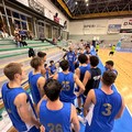 Serie B2, ufficializzato il girone della Virtus Basket Molfetta