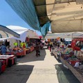 8 dicembre, oggi edizione speciale del mercato settimanale a Molfetta