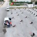 Disastro ambientale a Molfetta: 72 indagati, sequestri per 150 milioni di euro