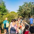  "Molfetta All Inclusive ": oggi in scena la seconda giornata della festa dell’inclusione