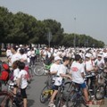In bicicletta per promuovere la cultura della donazione
