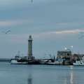  "Tutti a Molfetta ": 44° convegno dei molfettesi nel mondo