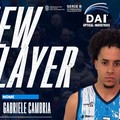 Dai Optical Virtus Molfetta, estro e grinta da Santo Domingo: ecco Gabriele Cambria